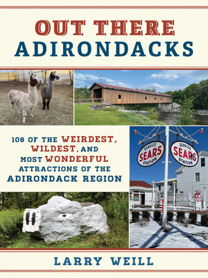 cover image of Out There Adirondacks